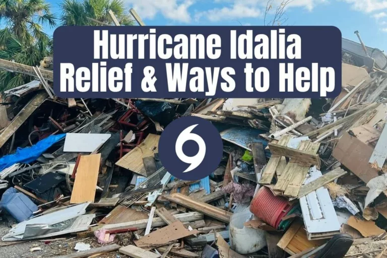 2023-Hurricane-Idalia-Relief-and-Ways-to-Help