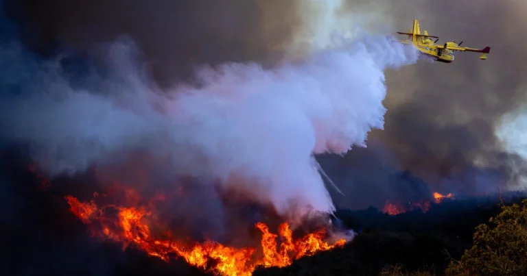 Want to help those impacted by the Los Angeles fires? Here's how South Florida can lend support
