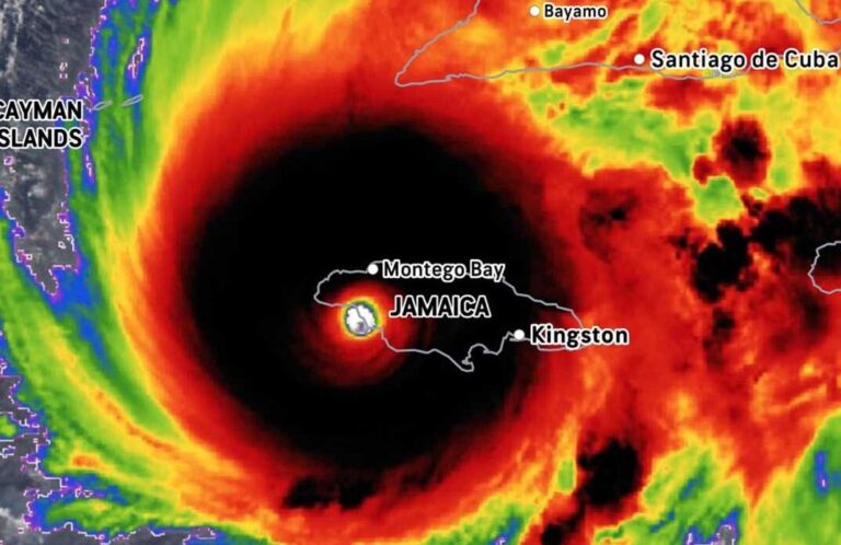 Alexandria nonprofit assists in Hurricane Melissa relief efforts